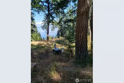 0 Raccoon Point Road #Lot 2, Orcas Island, WA 98245 - Photo 15