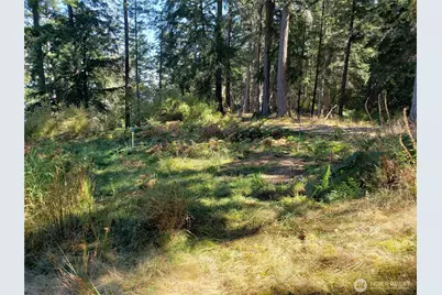0 Raccoon Point Road #Lot 2, Orcas Island, WA 98245 - Photo 13