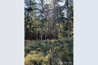 0 Raccoon Point Road #Lot 2, Orcas Island, WA 98245 - Photo 11