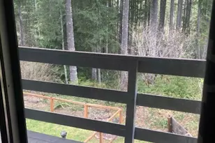 510 N Dow Mountain Dr, Hoodsport, WA 98548 - Photo 11