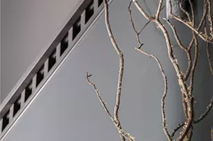 5932 California Ave SW, Seattle, WA 98136 - Photo 17