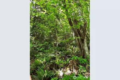 57255 State Route 20, Rockport, WA 98283 - Photo 21