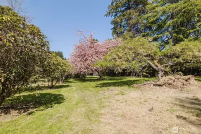 105 Schoolhouse Road, Brinnon, WA 98320 - Photo 31