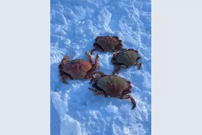 22 H S Beach Drive, Hat Island, WA 98206 - Photo 37