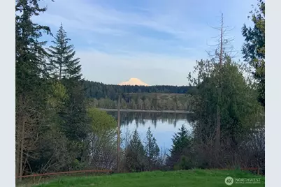 14502 45th Street SW, Lakebay, WA 98349 - Photo 1