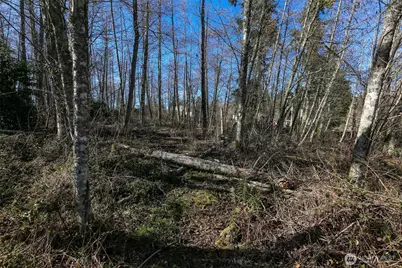 1231 Red Fox Lane, Freeland, WA 98249 - Photo 13