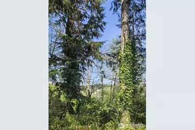 0 Ninth Avenue, Aberdeen, WA 98520 - Photo 1