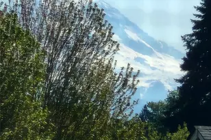 9206 Carys St SE, Yelm, WA 98597 - Photo 3