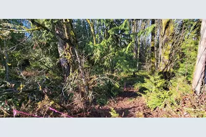 0 Nevada Ave & Michigan Street, Manchester, WA 98353 - Photo 3