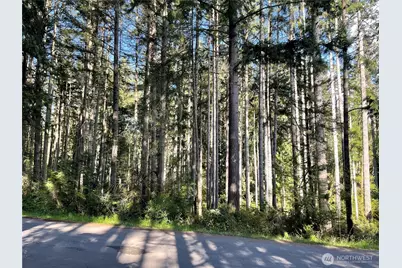 11024 Cascade Place, Anderson Island, WA 98303 - Photo 1