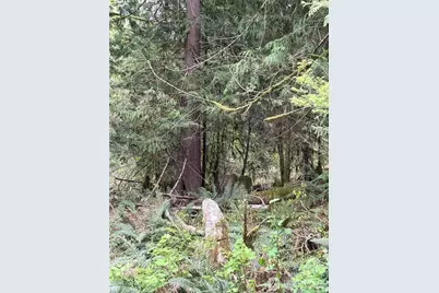 0 Xxxxx W Shore Drive, Mount Vernon, WA 98274 - Photo 7