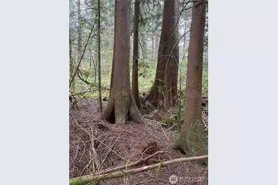 0 Xxxxx W Shore Drive, Mount Vernon, WA 98274 - Photo 11