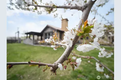 5814 Colockum Road, Malaga, WA 98828 - Photo 27