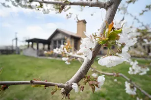 5814 Colockum Rd, Malaga, WA 98828 - Photo 27