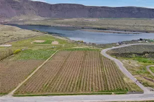 5814 Colockum Rd, Malaga, WA 98828 - Photo 39