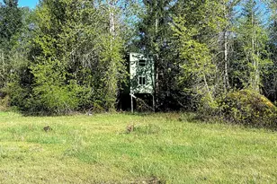 1513 State Route 8, McCleary, WA 98557 - Photo 19