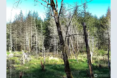 1513 State Route 8, McCleary, WA 98557 - Photo 29