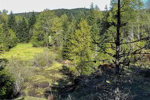 1513 State Route 8, McCleary, WA 98557 - Photo 33