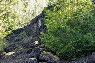 1513 State Route 8, McCleary, WA 98557 - Photo 25