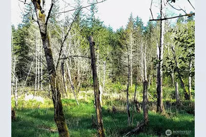 1513 State Route 8, McCleary, WA 98557 - Photo 35