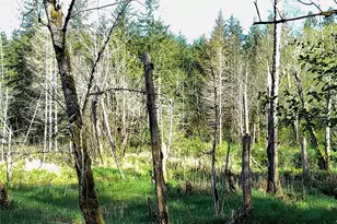 1513 State Route 8, McCleary, WA 98557 - Photo 35