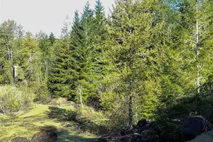 1513 State Route 8, McCleary, WA 98557 - Photo 23