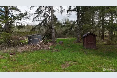 0 Justus Road, Cinebar, WA 98533 - Photo 3