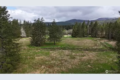 0 Justus Road, Cinebar, WA 98533 - Photo 7