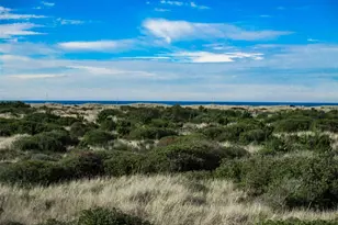 953 S Sand Dune, Ocean Shores, WA 98569 - Photo 1