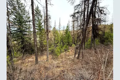 0 Tbd Give Out Creek Road, Wauconda, WA 98859 - Photo 5