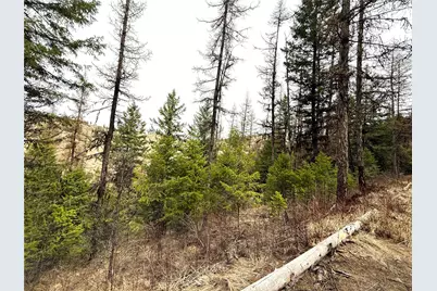 0 Tbd Give Out Creek Road, Wauconda, WA 98859 - Photo 11