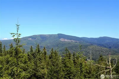 20 Academy Highlands, Bellingham, WA 98226 - Photo 7