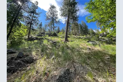 0 Icicle Road, Leavenworth, WA 98826 - Photo 3
