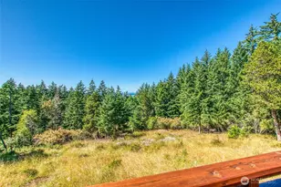 97 Snowberry Ln, Orcas Island, WA 98245 - Photo 29