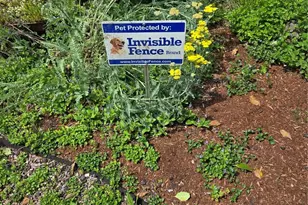 14226 189th Ave E, Bonney Lake, WA 98391 - Photo 25