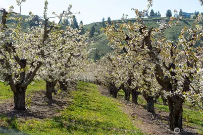 712 Moonlit Lane, Wenatchee, WA 98801 - Photo 3