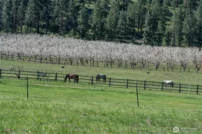 712 Moonlit Lane, Wenatchee, WA 98801 - Photo 13