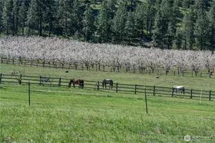 712 Moonlit Ln, Wenatchee, WA 98801 - Photo 13