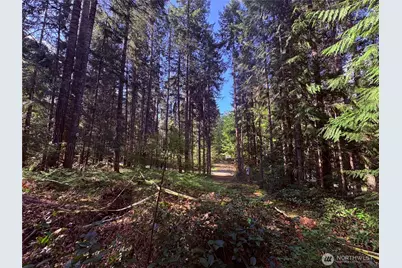 30 N Skokomish Drive, Hoodsport, WA 98548 - Photo 3