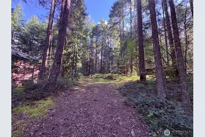 30 N Skokomish Drive, Hoodsport, WA 98548 - Photo 1