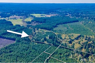 211 W New Moon Lane, Matlock, WA 98560 - Photo 1