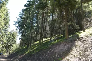 831 Horse Heaven Rd, Cle Elum, WA 98922 - Photo 19