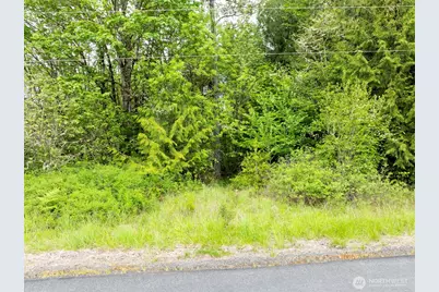 0 Eadon Road, Toledo, WA 98591 - Photo 11