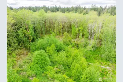 0 Eadon Road, Toledo, WA 98591 - Photo 9
