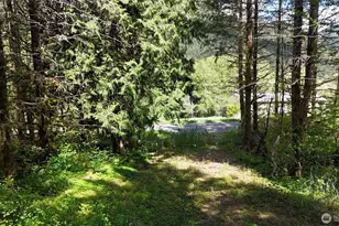 426 Highland Valley Rd, Morton, WA 98356 - Photo 1