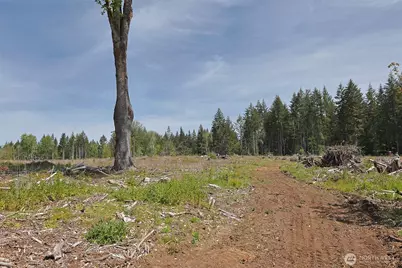 15138 Champion Estate Drive SE, Yelm, WA 98597 - Photo 9