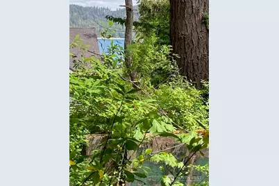 161 N Schoolhouse Hill Road, Hoodsport, WA 98548 - Photo 17