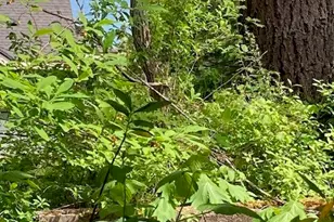 161 N Schoolhouse Hill Rd, Hoodsport, WA 98548 - Photo 17