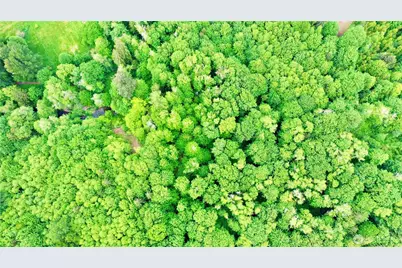 0 Lot 2 NE Old Belfair Highway, Belfair, WA 98528 - Photo 3