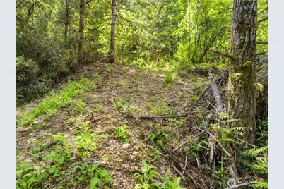 0 E Gerbing View Drive, Union, WA 98592 - Photo 5